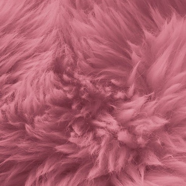 🌸PINKY PUSSY🌸